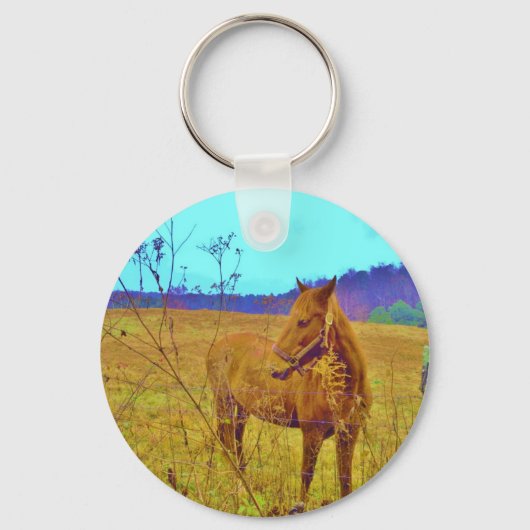 Retrokleurige paarden sleutelhanger (Voorkant)