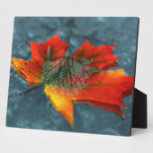 Retroreflectie Afbeelding Plaque Fotoplaat (Zijkant)