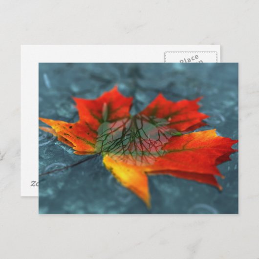 Retroreflectie-Briefkaart Briefkaart (Voorkant / Achterkant)