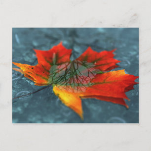 Retroreflectie-Briefkaart Briefkaart