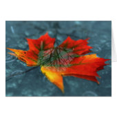 Retroreflectiekaart (Voorkant Horizontaal)