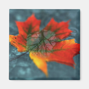 Retroreflectiesmagneet Magneet