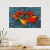 Retroréflexion Impression (Cuisine)