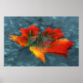 Retroréflexion Impression (Devant)