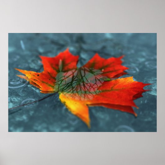 Retroréflexion Impression (Devant)