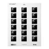 Return address labels  (Full Sheet)