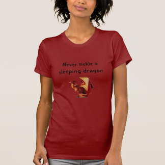 Reudraak, nooit een slaapdraak kietelen t-shirt