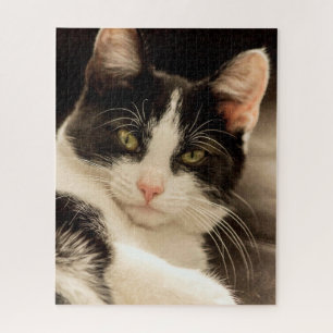 Reukende zwarte en witte kat legpuzzel