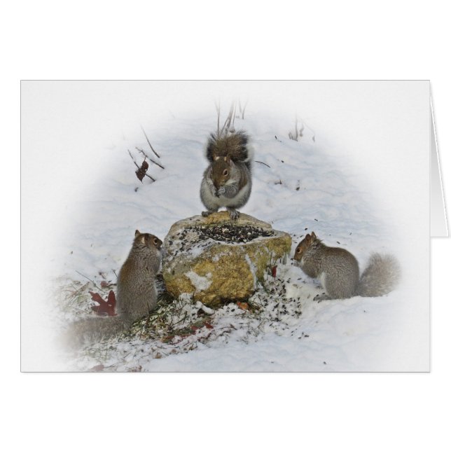 Réunion importante (Devant horizontal)