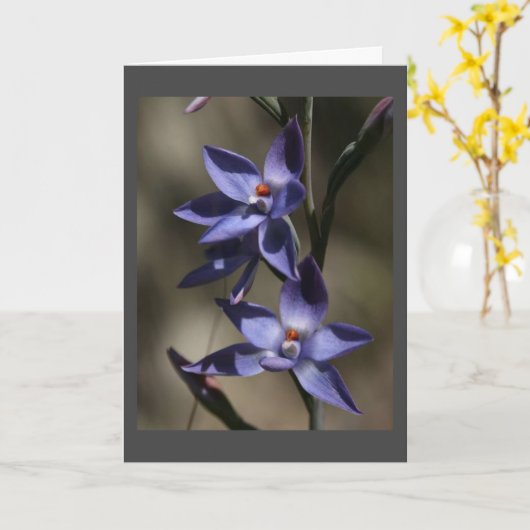 RÉUNIONS MA CARTE D'AMI (Fleur jaune)