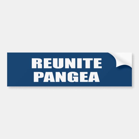 REUNITE PANGEA BUMPERSTICKER (Voorkant)