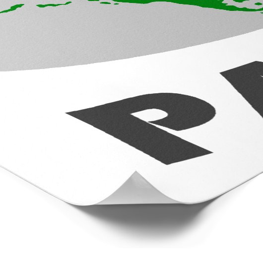 Reunite Pangea Poster (Hoek)