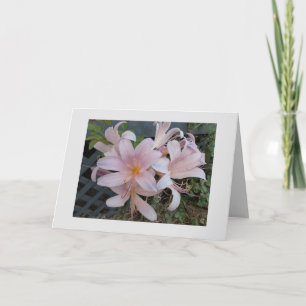 reurrectiellak kaart