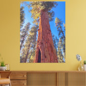 Reusachtige Sequoia boom in het bos Canvas Afdruk (Insitu (Woonkamer))