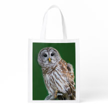 Beau hibou barré - le sac pliable du Birder