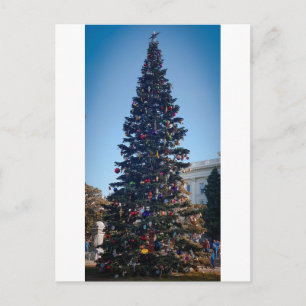 Reuze Kerstboom Vakantiefamilietraditie Briefkaart
