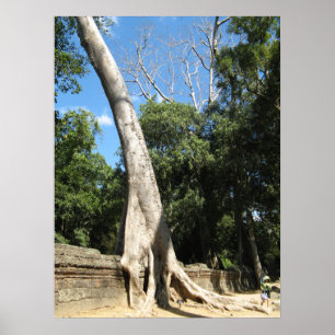 Reuzen Banyanboom ... Ta Prohm Tempel, Cambodja Poster