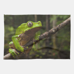 Reuzen bladkikker Phyllomedusa bicolor) Theedoek