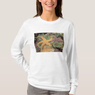 Reuzen groene anemoon en oker zeesterren t-shirt