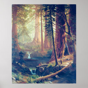 Reuzen Redwood Bomen van Californië Albert Biersta Poster