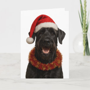Reuzen schnauzer in een kerstmuts kerstkaart kaart