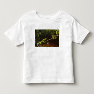 Reuzenbladkikker Phyllomedusa bicolor) 2 Kinder Shirts