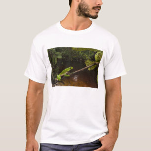 Reuzenbladkikker Phyllomedusa bicolor) 2 T-shirt