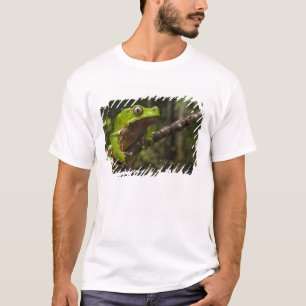 Reuzenbladkikker Phyllomedusa bicolor) T-shirt