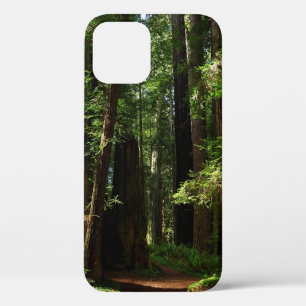 Reuzenbomen en varens in Redwood National Park iPhone 12 Hoesje