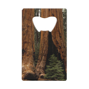 Reuzenbomen, Sequoia National Park. Kredietkaart Flessenopener