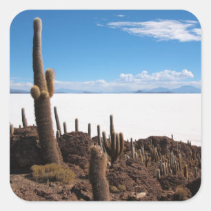 Reuzencactus bij de foto-sticker Salar de Uyuni Vierkante Sticker