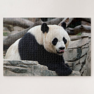 Reuzend Giant Panda, Jigzaag Puzzle Legpuzzel