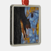 Reuzeneekhoorn Metalen Ornament (Rechts)