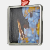 Reuzeneekhoorn Metalen Ornament (Links)