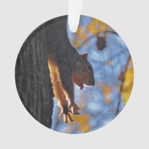Reuzeneekhoorn Ornament
