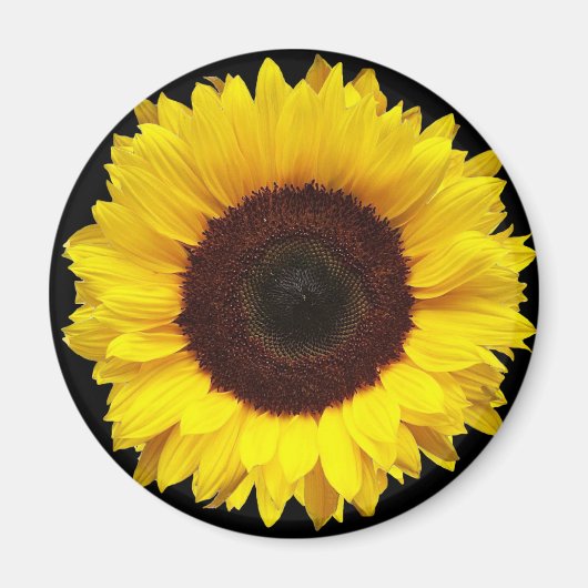 Reuzengele tuin zonnebloem op zwarte achtergrond magneet (Voorkant)