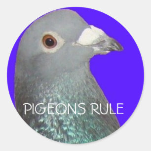 Reuzenhoofdbuikachtergrond, PIGEONS RULE Ronde Sticker