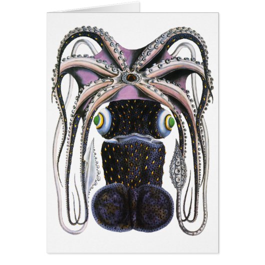 reuzeninktvis of octopus, zeedier (Voorkant)