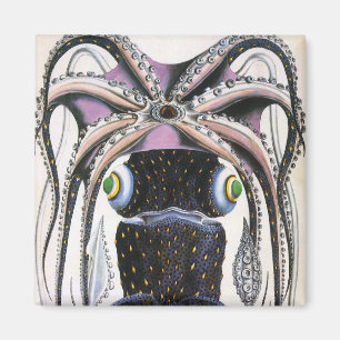 reuzeninktvis of octopus, zeedier magneet