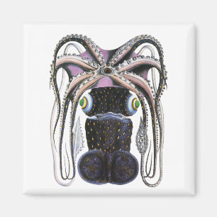 reuzeninktvis of octopus, zeedier magneet