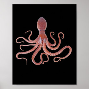 reuzeninktvis uit de oceaan voor Dierenvrienden Poster