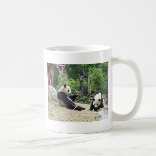 Reuzenpanda 大熊猫 koffiemok (Rechts)