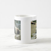 Reuzenpanda 大熊猫 koffiemok (Center)