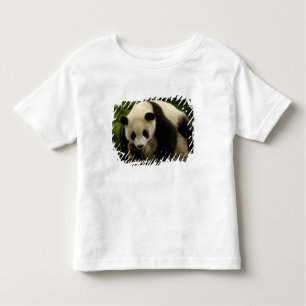 Reuzenpanda (Ailuropoda melanoleuca) Kinder Shirts