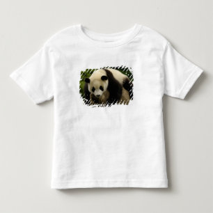 Reuzenpanda baby (Ailuropoda melanoleuca) Kinder Shirts