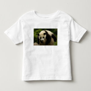 Reuzenpanda baby (Ailuropoda melanoleuca) Kinder Shirts