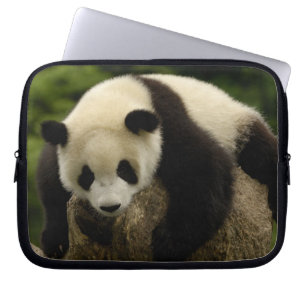 Reuzenpanda baby (Ailuropoda melanoleuca) Laptop Sleeve
