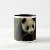Reuzenpanda baby tweekleurige koffiemok (Center)