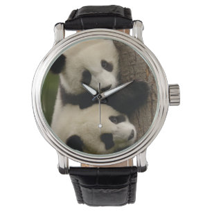 Reuzenpanda baby's (Ailuropoda melanoleuca) 2 Horloge