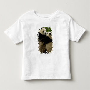 Reuzenpanda baby's (Ailuropoda melanoleuca) Kinder Shirts